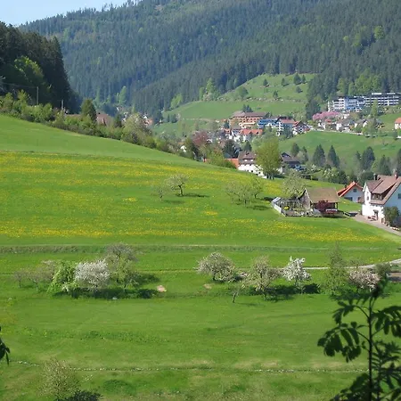 Cozy In Vorderer Tonbach With Parking Apartment