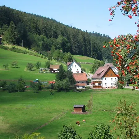 Apartment Cozy In Vorderer Tonbach With Parking *