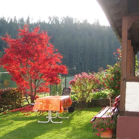 Cozy In Vorderer Tonbach With Parking Baiersbronn