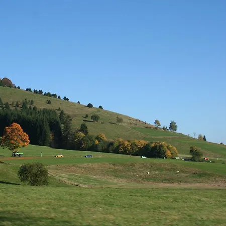 Cozy In Vorderer Tonbach With Parking